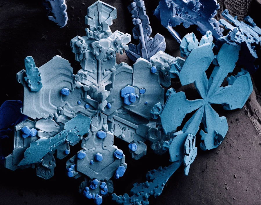 电子显微镜下的雪晶