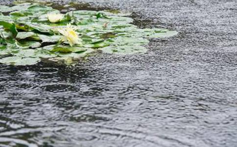 天要下雨为什么要与娘要嫁人连在一起?